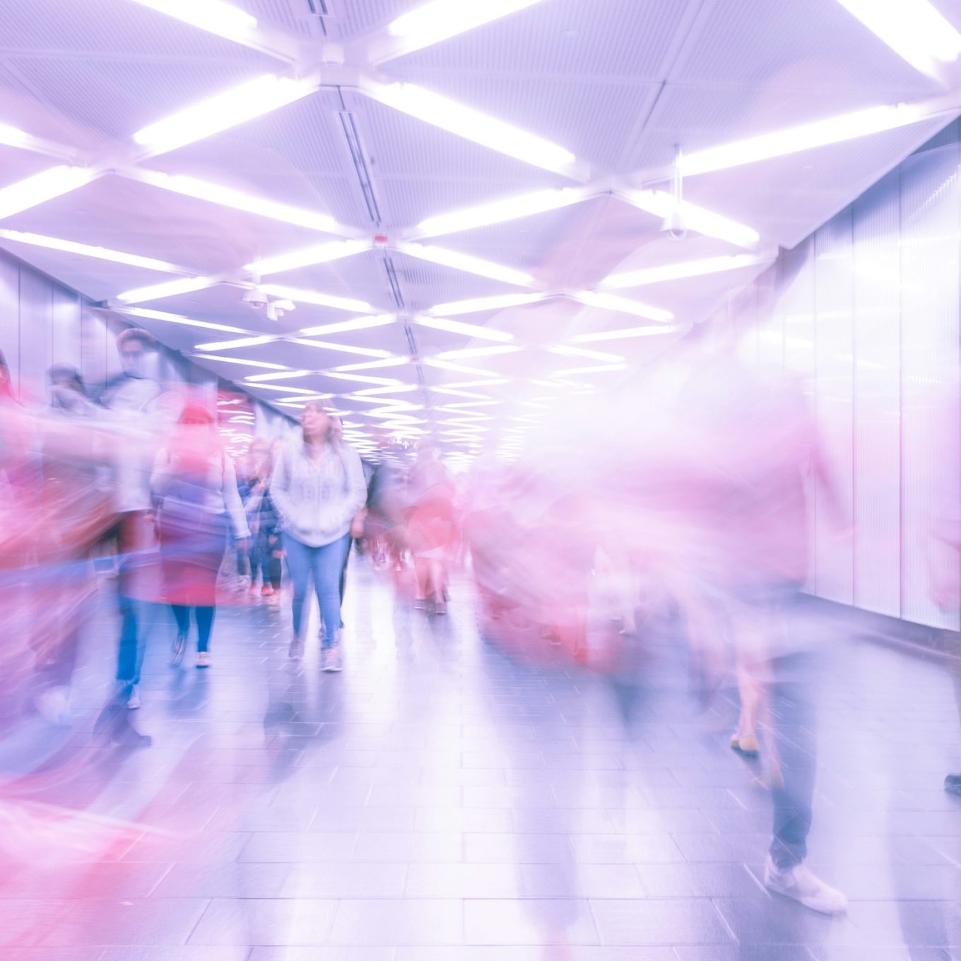 martin-adams-n0kwms_G_cw-unsplash